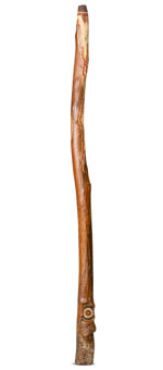 Heartland Didgeridoo (HD385)
